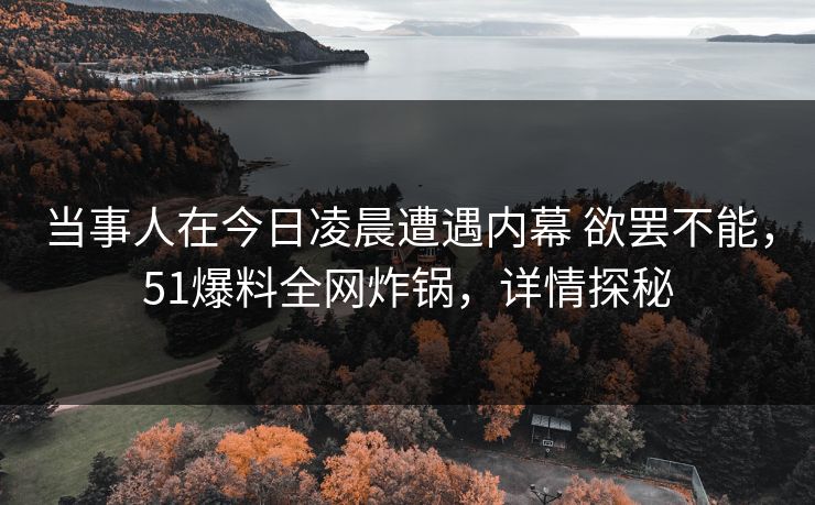 当事人在今日凌晨遭遇内幕 欲罢不能，51爆料全网炸锅，详情探秘