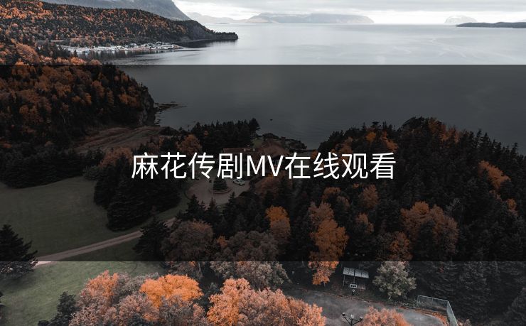 麻花传剧MV在线观看 麻花传剧MV在线观看