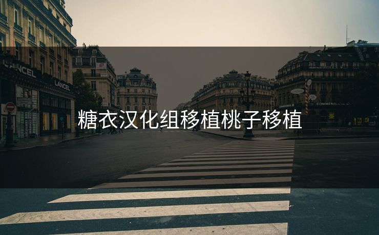 糖衣汉化组移植桃子移植 糖衣汉化组移植桃子移植