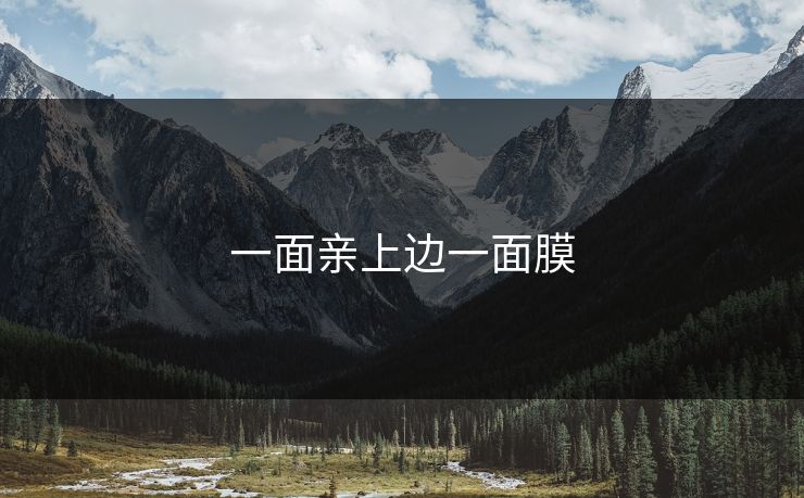 一面亲上边一面膜