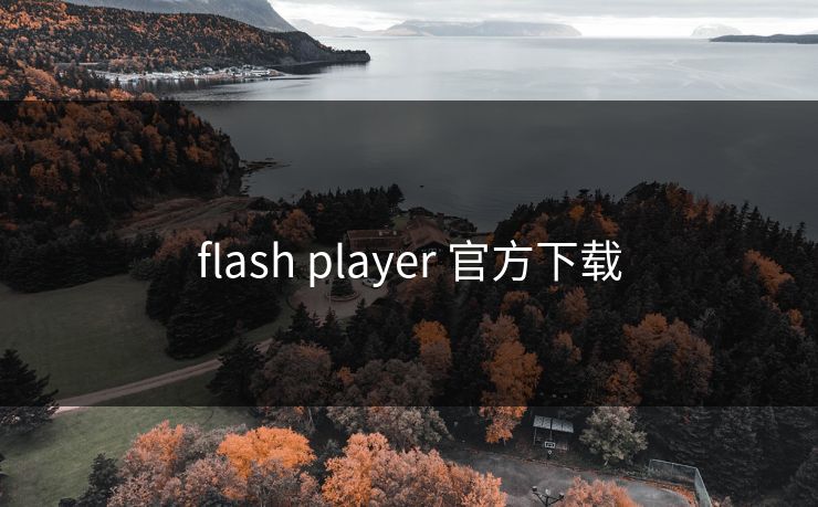 flash player 官方下载