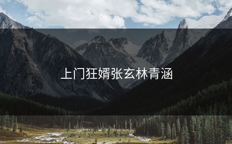 上门狂婿张玄林青涵