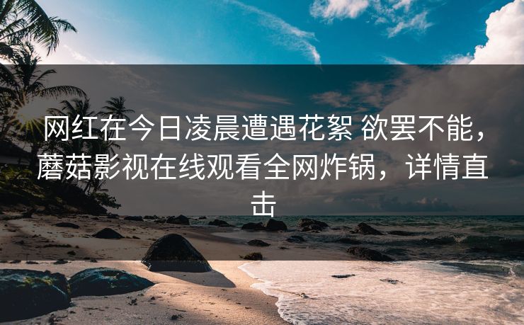 网红在今日凌晨遭遇花絮 欲罢不能，蘑菇影视在线观看全网炸锅，详情直击