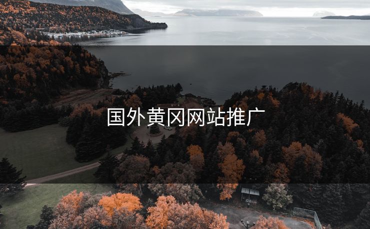 国外黄冈网站推广